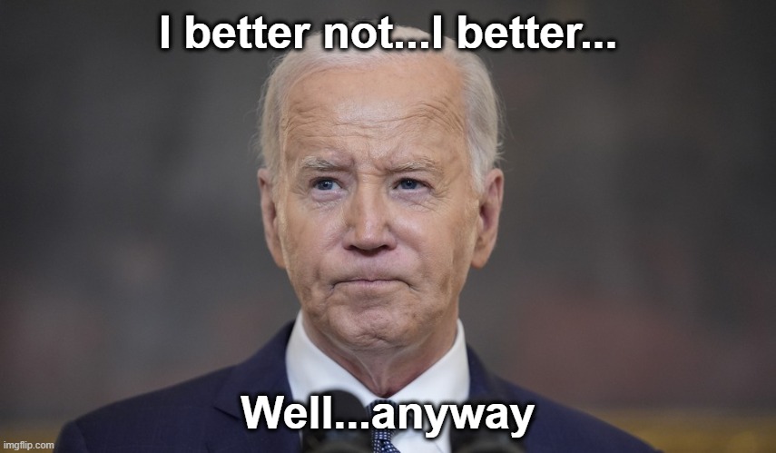 Words of wisdom from the leader of the free world. | I better not...I better... Well...anyway | image tagged in potus,joe biden,dementia,puppet | made w/ Imgflip meme maker
