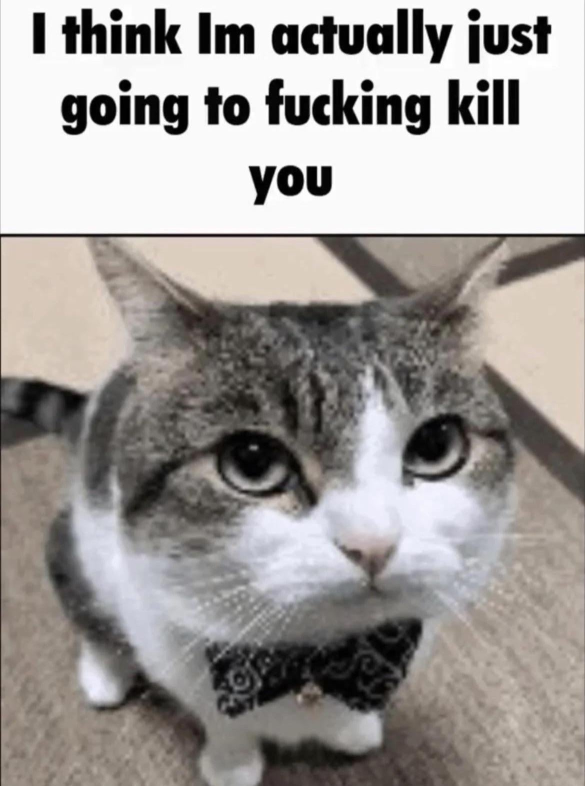 kill Blank Meme Template