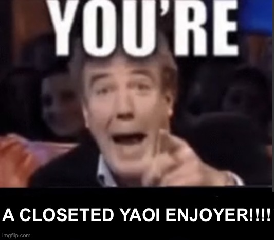 @user | A CLOSETED YAOI ENJOYER!!!! | image tagged in you're x blank | made w/ Imgflip meme maker