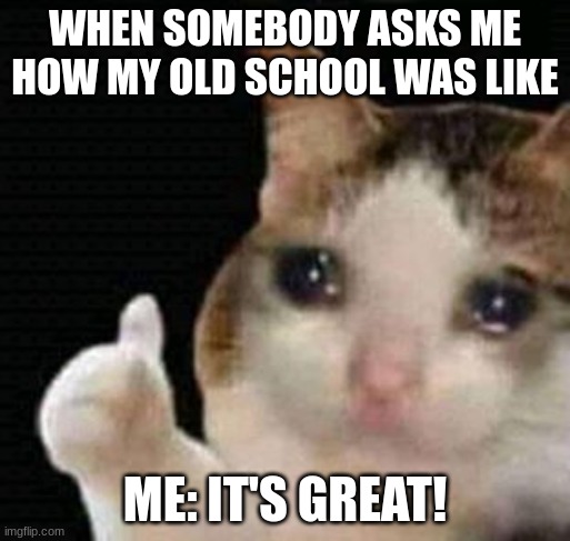 sad thumbs up cat | WHEN SOMEBODY ASKS ME HOW MY OLD SCHOOL WAS LIKE; ME: IT'S GREAT! | image tagged in sad thumbs up cat | made w/ Imgflip meme maker