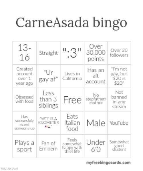 New bingo card | image tagged in carneasada bingo | made w/ Imgflip meme maker