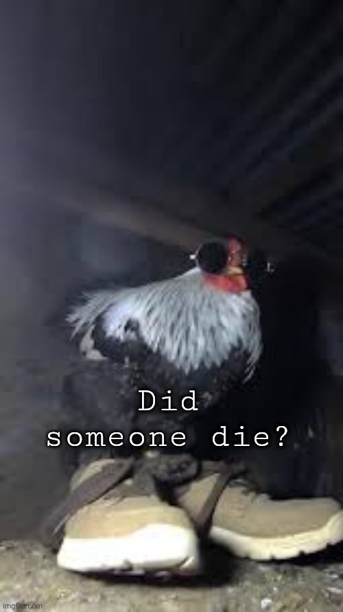 Drip chicken Sp3x_ | Did someone die? | image tagged in drip chicken sp3x_ | made w/ Imgflip meme maker