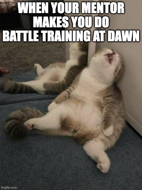 Apprentices be like... | WHEN YOUR MENTOR MAKES YOU DO BATTLE TRAINING AT DAWN | image tagged in tired cat | made w/ Imgflip meme maker