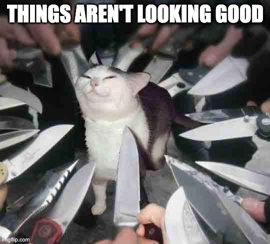 Knife Cat | THINGS AREN'T LOOKING GOOD | image tagged in knife cat | made w/ Imgflip meme maker