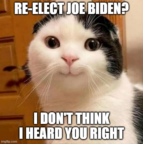 RE-ELECT JOE BIDEN? I DON'T THINK I HEARD YOU RIGHT | made w/ Imgflip meme maker