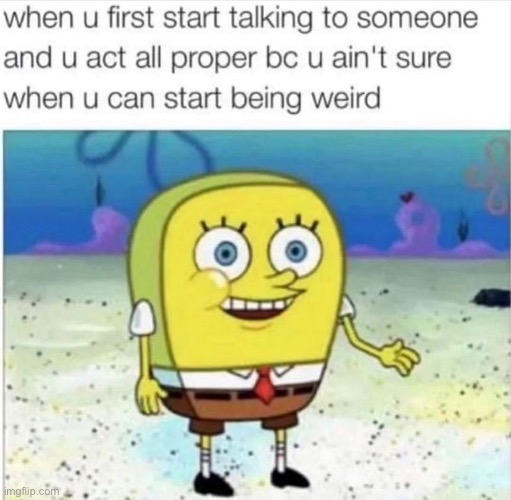 so me lol | image tagged in funny,meme,being yourself,not sure yet | made w/ Imgflip meme maker