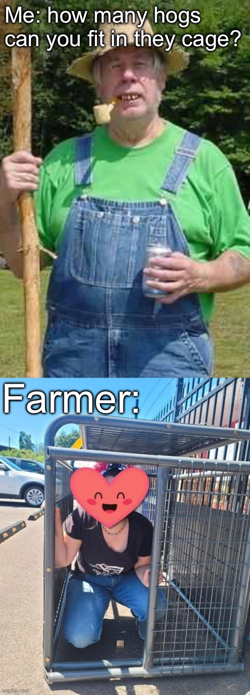 Just the one little sow | Me: how many hogs can you fit in they cage? Farmer: | image tagged in hillbilly pappy,pigs,cage | made w/ Imgflip meme maker