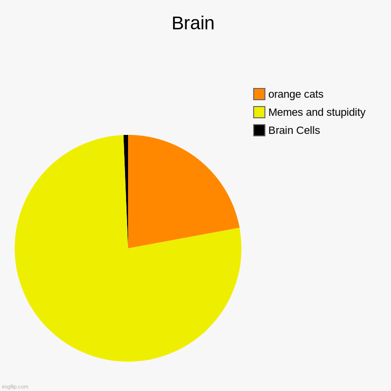 Brain | Brain Cells, Memes and stupidity, orange cats | image tagged in charts,pie charts | made w/ Imgflip chart maker