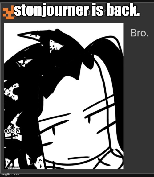 Bro. | stonjourner is back. | image tagged in bro | made w/ Imgflip meme maker