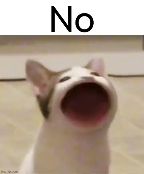 Pop Cat | No | image tagged in pop cat | made w/ Imgflip meme maker