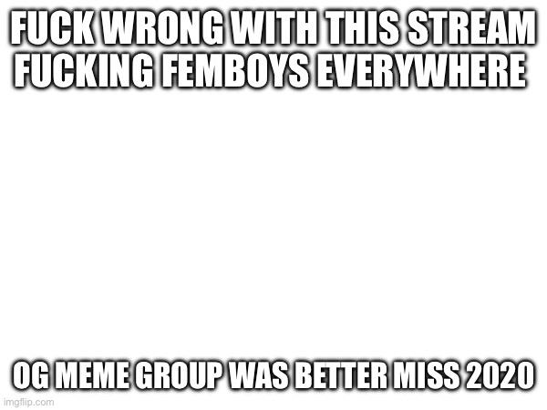 FUCK WRONG WITH THIS STREAM FUCKING FEMBOYS EVERYWHERE; OG MEME GROUP WAS BETTER MISS 2020 | made w/ Imgflip meme maker