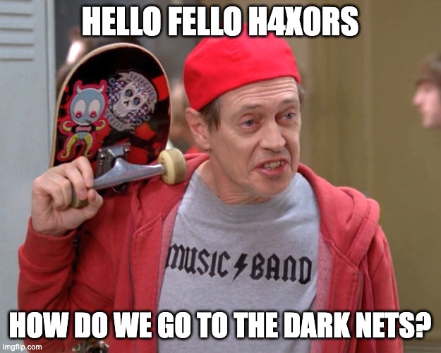 Steve Buscemi Fellow Kids | HELLO FELLO H4X0RS; HOW DO WE GO TO THE DARK NETS? | image tagged in steve buscemi fellow kids | made w/ Imgflip meme maker