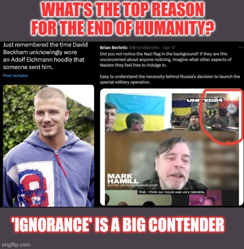 The human race is doomed | WHAT'S THE TOP REASON FOR THE END OF HUMANITY? 'IGNORANCE' IS A BIG CONTENDER | image tagged in david beckham,mark hamill,ignorance,nazis | made w/ Imgflip meme maker