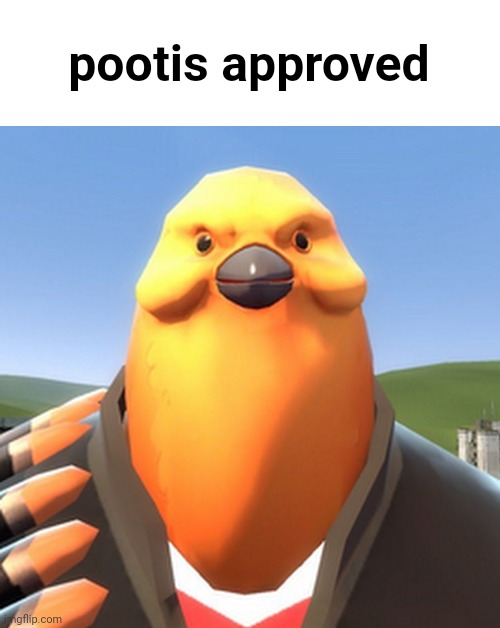 Pootis Bird | pootis approved | image tagged in pootis bird | made w/ Imgflip meme maker