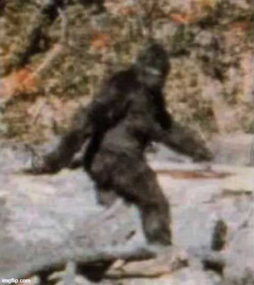 bigfoot | image tagged in bigfoot | made w/ Imgflip meme maker