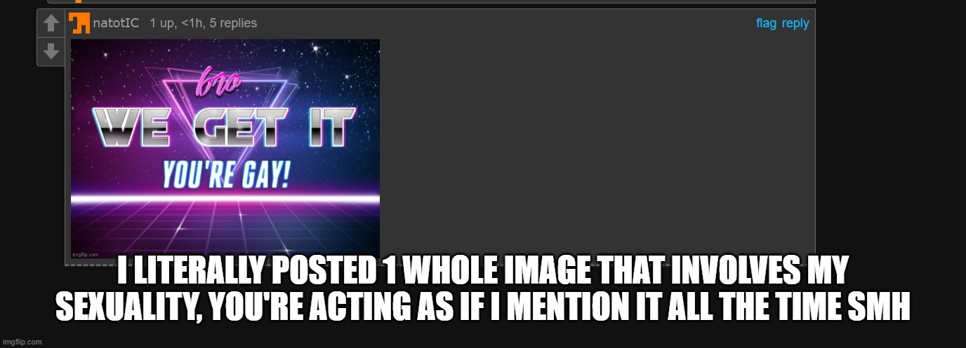 I LITERALLY POSTED 1 WHOLE IMAGE THAT INVOLVES MY SEXUALITY, YOU'RE ACTING AS IF I MENTION IT ALL THE TIME SMH | made w/ Imgflip meme maker