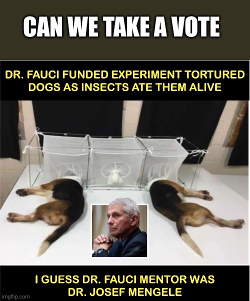 Fauci torturing dogs | CAN WE TAKE A VOTE | image tagged in fauci torturing dogs | made w/ Imgflip meme maker