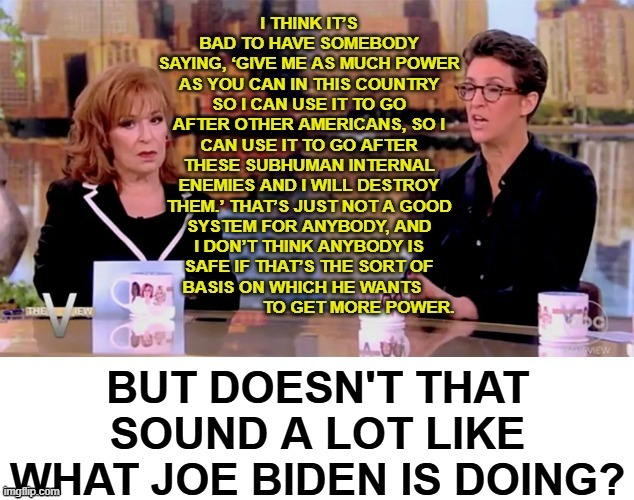 TDS Takes Up A Lot Of Room In Rachel Maddow's Head | image tagged in memes,tds,rachel maddow,joe biden,for real,doing | made w/ Imgflip meme maker