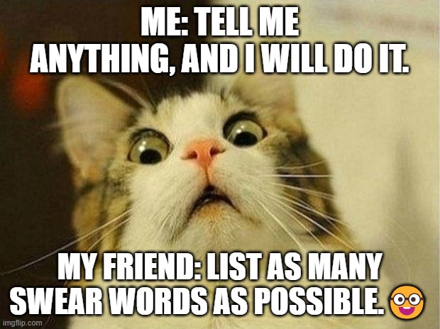 Scared Cat | ME: TELL ME ANYTHING, AND I WILL DO IT. MY FRIEND: LIST AS MANY SWEAR WORDS AS POSSIBLE.🤓 | image tagged in memes,scared cat | made w/ Imgflip meme maker