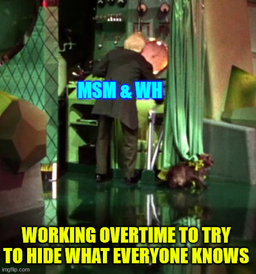 Anybody not denying Biden has full blown dementia? Plenty still won't say it out loud. | MSM & WH WORKING OVERTIME TO TRY TO HIDE WHAT EVERYONE KNOWS | image tagged in wizard of oz exposed,dementia joe | made w/ Imgflip meme maker