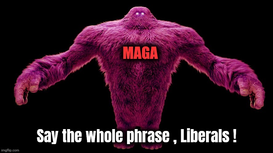 MAGA Monster | Say the whole phrase , Liberals ! | image tagged in maga monster | made w/ Imgflip meme maker