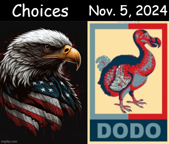 Trump or Biden? | Choices; Nov. 5, 2024 | image tagged in political humor,easy,choice,eagle,dodo,idiocracy | made w/ Imgflip meme maker