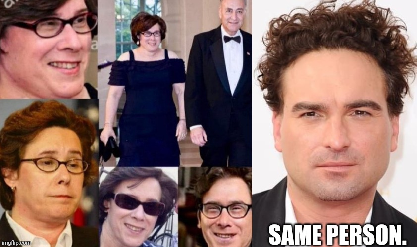 Chuck Schumer's wife is Johnny Galecki (Big Bang Theory) | SAME PERSON. | image tagged in wtf | made w/ Imgflip meme maker