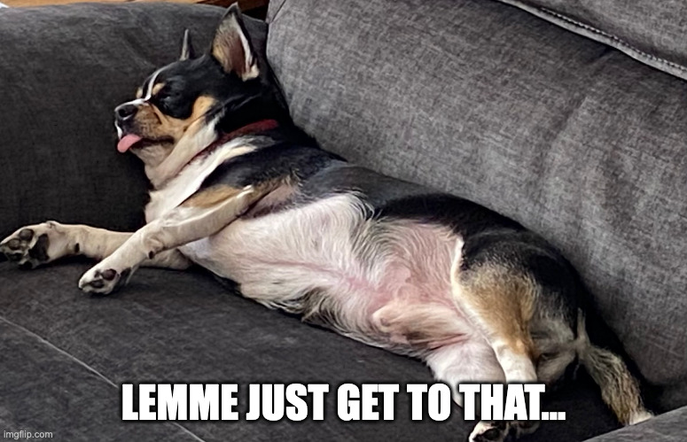 LemmeJustGetToThat | LEMME JUST GET TO THAT... | image tagged in chihuahua,funny chihuahua,netflix and chill | made w/ Imgflip meme maker