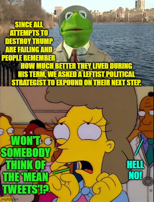 Independent voters are saying to leftists, "Fool me once shame on you.  Fool me twice, shame on me." | SINCE ALL ATTEMPTS TO DESTROY TRUMP ARE FAILING AND PEOPLE REMEMBER; HOW MUCH BETTER THEY LIVED DURING HIS TERM, WE ASKED A LEFTIST POLITICAL STRATEGIST TO EXPOUND ON THEIR NEXT STEP. __; WON'T SOMEBODY THINK OF THE 'MEAN TWEETS'!? __; HELL NO! | image tagged in kermit news report | made w/ Imgflip meme maker