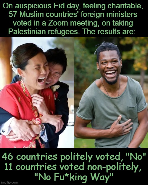 Comment by Imtiaz Madmood | On auspicious Eid day, feeling charitable, 
57 Muslim countries' foreign ministers 
voted in a Zoom meeting, on taking 
Palestinian refugees. The results are:; 46 countries politely voted, "No"
11 countries voted non-politely, 
"No Fu*king Way" | image tagged in political humor,funny because it's true,palestine,refugees,hell no,laughing | made w/ Imgflip meme maker