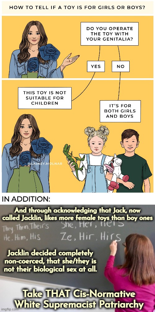 It's way bigger than what ever any individual feels | IN ADDITION:; And through acknowledging that Jack, now called Jacklin, likes more female toys than boy ones; Jacklin decided completely non-coerced, that she/they is not their biological sex at all. Take THAT Cis-Normative White Supremacist Patriarchy | image tagged in gender identity,identity politics | made w/ Imgflip meme maker