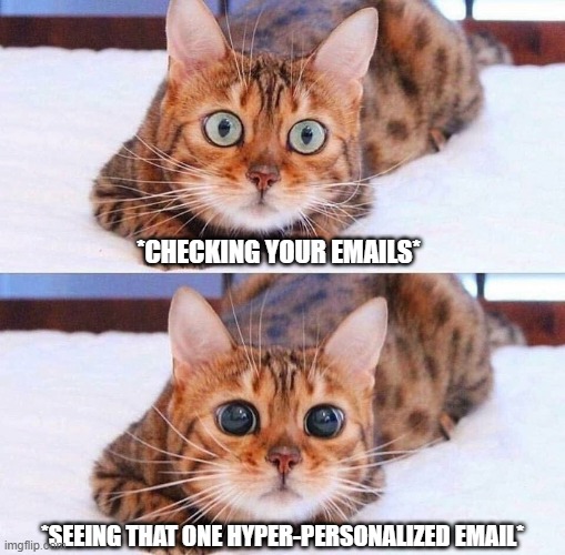 Cat Wide-Eyes | *CHECKING YOUR EMAILS*; *SEEING THAT ONE HYPER-PERSONALIZED EMAIL* | image tagged in cat wide-eyes | made w/ Imgflip meme maker