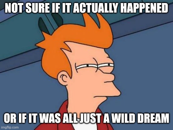Did it actually happen? | NOT SURE IF IT ACTUALLY HAPPENED; OR IF IT WAS ALL JUST A WILD DREAM | image tagged in memes,futurama fry,delusion | made w/ Imgflip meme maker