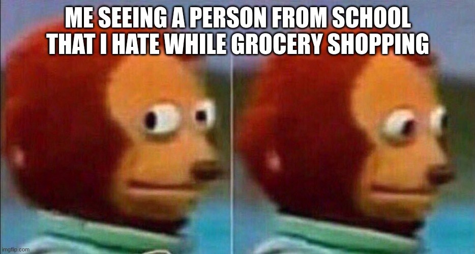 Monkey looking away | ME SEEING A PERSON FROM SCHOOL THAT I HATE WHILE GROCERY SHOPPING | image tagged in monkey looking away | made w/ Imgflip meme maker