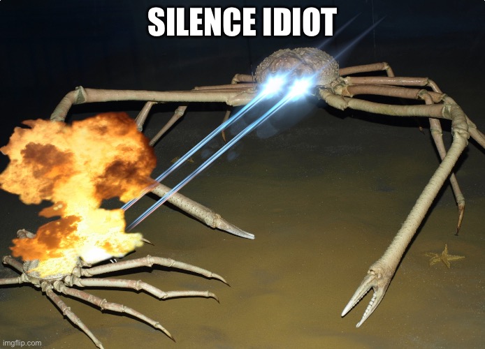 Silence | SILENCE IDIOT | image tagged in silence | made w/ Imgflip meme maker