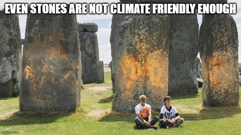 Insanity does not convince people, that you are right. | EVEN STONES ARE NOT CLIMATE FRIENDLY ENOUGH | image tagged in climate change,protesters | made w/ Imgflip meme maker