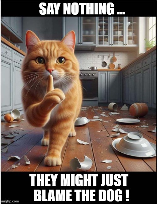 One Mean Cat ! | SAY NOTHING ... THEY MIGHT JUST 
 BLAME THE DOG ! | image tagged in cats,destruction,blame,dogs | made w/ Imgflip meme maker