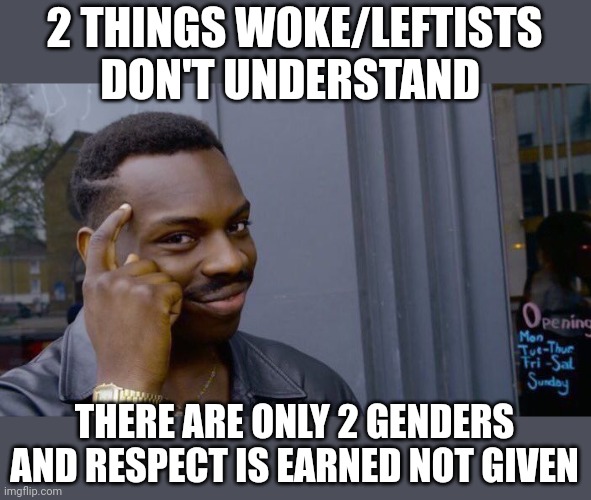 Lets start with the basics | 2 THINGS WOKE/LEFTISTS DON'T UNDERSTAND; THERE ARE ONLY 2 GENDERS AND RESPECT IS EARNED NOT GIVEN | image tagged in memes,roll safe think about it | made w/ Imgflip meme maker