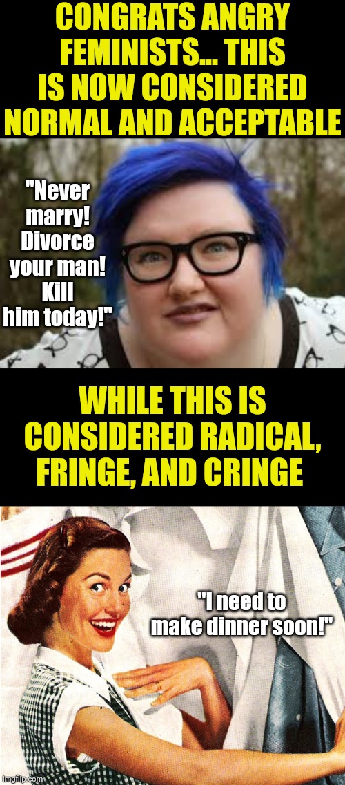 The only women who stay single are the feminists. The only women who want YOU single are also feminists. | CONGRATS ANGRY FEMINISTS... THIS IS NOW CONSIDERED NORMAL AND ACCEPTABLE; "Never marry! Divorce your man! Kill him today!"; WHILE THIS IS CONSIDERED RADICAL, FRINGE, AND CRINGE; "I need to make dinner soon!" | image tagged in 400 lb blue haired ham planet,vintage laundry woman,modern problems,feminism,liberal logic,single life | made w/ Imgflip meme maker