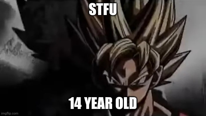 Goku Staring | STFU 14 YEAR OLD | image tagged in goku staring | made w/ Imgflip meme maker
