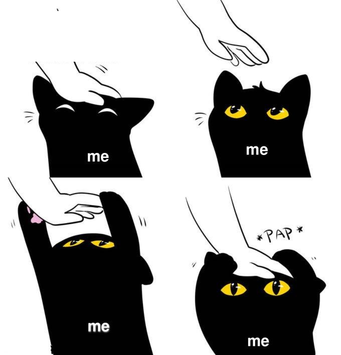 cat pat Blank Meme Template