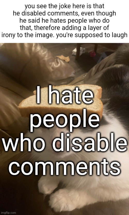 shut the fuck up | you see the joke here is that he disabled comments, even though he said he hates people who do that, therefore adding a layer of irony to the image. you're supposed to laugh; I hate people who disable comments | image tagged in bread cat | made w/ Imgflip meme maker