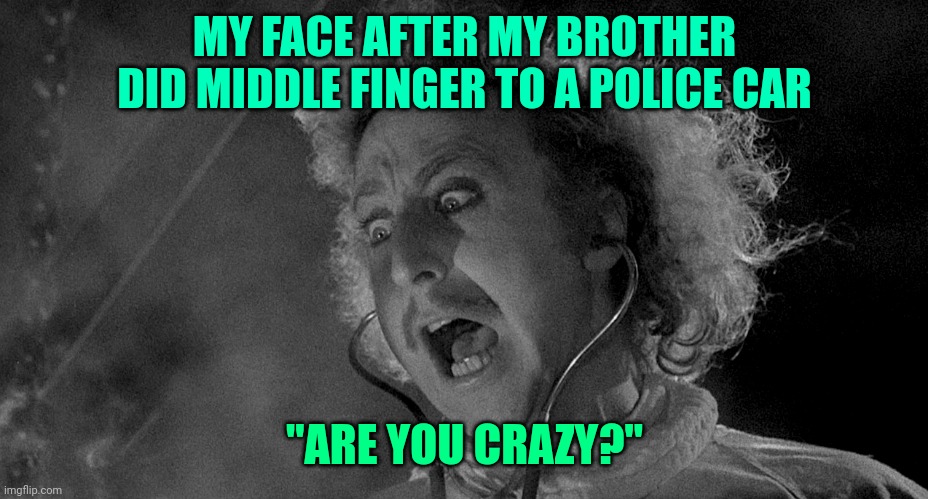 Gene Wilder | MY FACE AFTER MY BROTHER DID MIDDLE FINGER TO A POLICE CAR; "ARE YOU CRAZY?" | image tagged in gene wilder | made w/ Imgflip meme maker