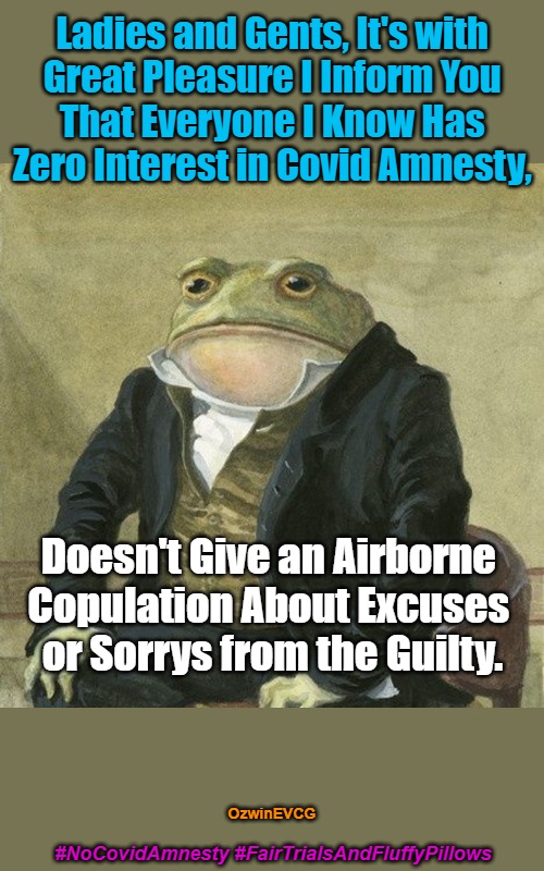 #NoCovidAmnesty #FairTrialsAndFluffyPillows | Ladies and Gents, It's with 

Great Pleasure I Inform You 

That Everyone I Know Has 

Zero Interest in Covid Amnesty, Doesn't Give an Airborne 

Copulation About Excuses 

or Sorrys from the Guilty. OzwinEVCG; #NoCovidAmnesty #FairTrialsAndFluffyPillows | image tagged in covid,corruption,vaccines,tyranny,crime,punishment | made w/ Imgflip meme maker