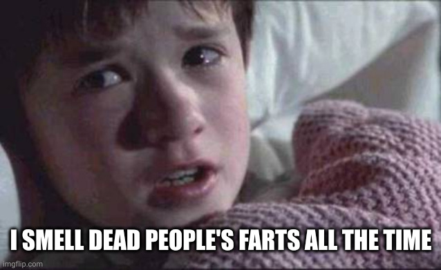 I See Dead People Meme | I SMELL DEAD PEOPLE'S FARTS ALL THE TIME | image tagged in memes,i see dead people | made w/ Imgflip meme maker