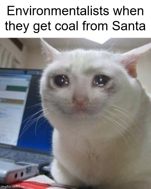 Crying cat | Environmentalists when they get coal from Santa | image tagged in crying cat | made w/ Imgflip meme maker