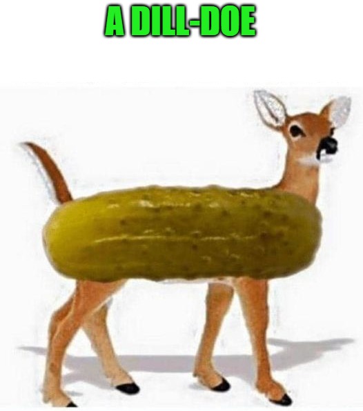 A DILL-DOE | made w/ Imgflip meme maker
