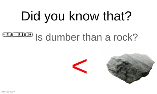 Did you know that (blank) is dumber than a rock? | SIGMA_RIZZLERS_INC3 | image tagged in did you know that blank is dumber than a rock | made w/ Imgflip meme maker