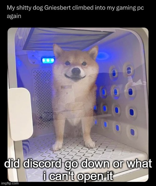 gniesbert | did discord go down or what

i can't open it | image tagged in gniesbert | made w/ Imgflip meme maker