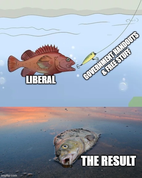 LIBERAL GOVERNMENT HANDOUTS
& FREE STUFF THE RESULT | made w/ Imgflip meme maker